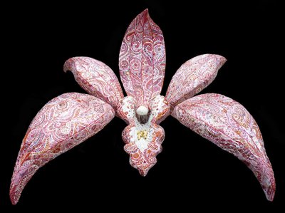 Orchid by Maylee Christie